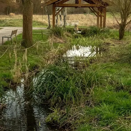 Venkovský dům Le Domaine Des Droles De Dames Buding