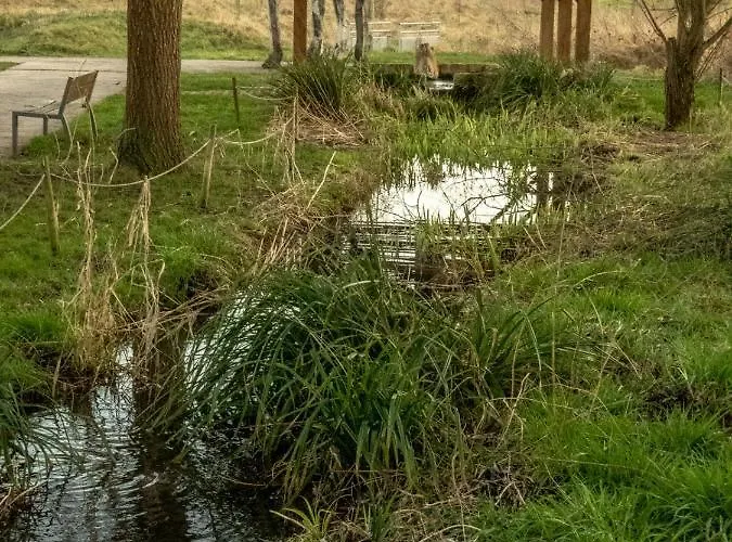 乡村民宿 Le Domaine Des Droles De Dames 比丹