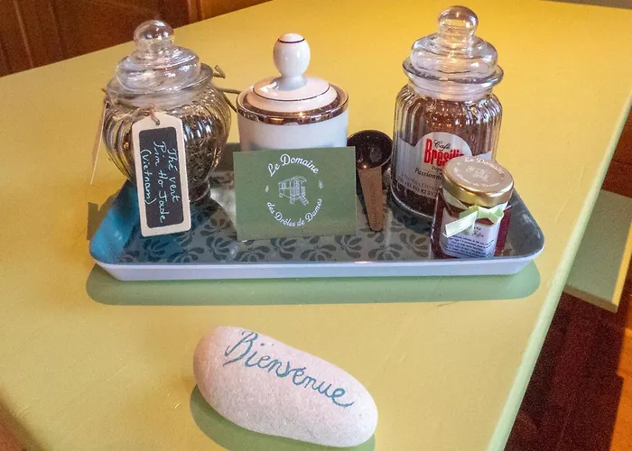 Le Domaine Des Droles De Dames