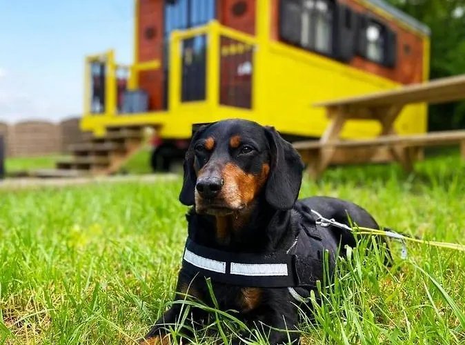 Le Domaine Des Droles De Dames Venkovský dům *