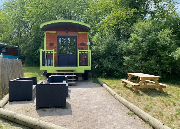 Le Domaine Des Droles De Dames *